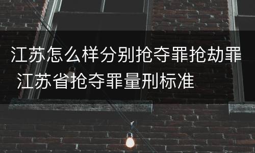 江苏怎么样分别抢夺罪抢劫罪 江苏省抢夺罪量刑标准