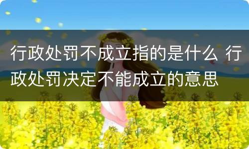 行政处罚不成立指的是什么 行政处罚决定不能成立的意思