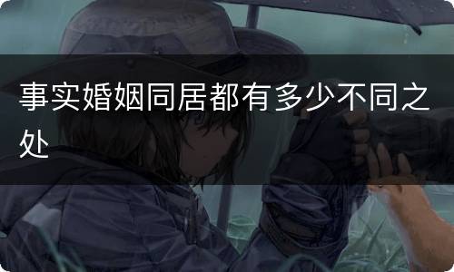 事实婚姻同居都有多少不同之处