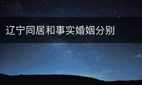 辽宁同居和事实婚姻分别