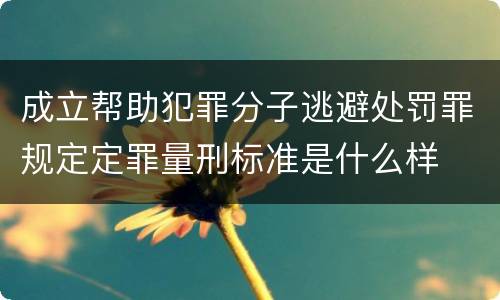 成立帮助犯罪分子逃避处罚罪规定定罪量刑标准是什么样