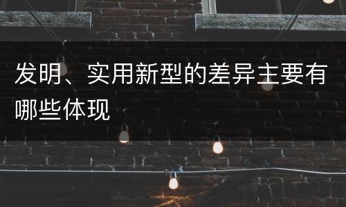 发明、实用新型的差异主要有哪些体现