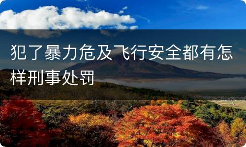 犯了暴力危及飞行安全都有怎样刑事处罚