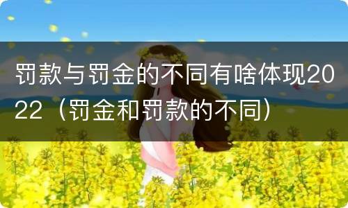罚款与罚金的不同有啥体现2022（罚金和罚款的不同）