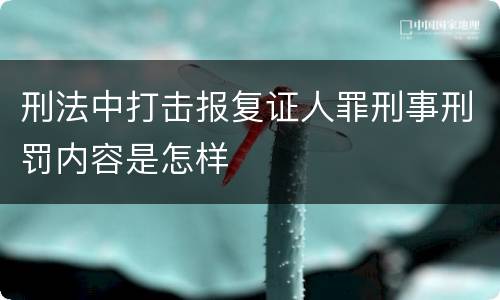 刑法中打击报复证人罪刑事刑罚内容是怎样