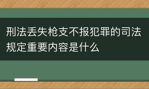 刑法丢失枪支不报犯罪的司法规定重要内容是什么