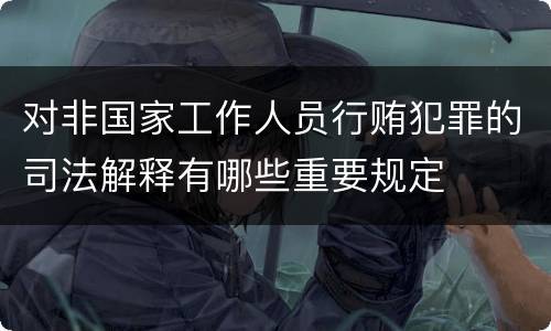 对非国家工作人员行贿犯罪的司法解释有哪些重要规定