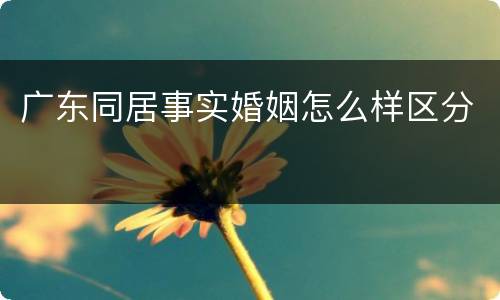 广东同居事实婚姻怎么样区分