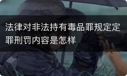 法律对非法持有毒品罪规定定罪刑罚内容是怎样