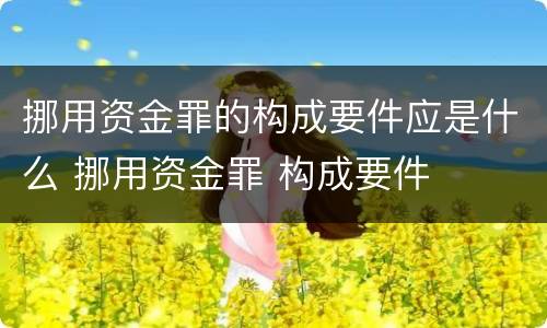 挪用资金罪的构成要件应是什么 挪用资金罪 构成要件