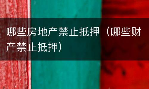 哪些房地产禁止抵押（哪些财产禁止抵押）