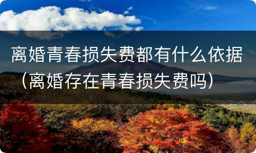 离婚青春损失费都有什么依据（离婚存在青春损失费吗）