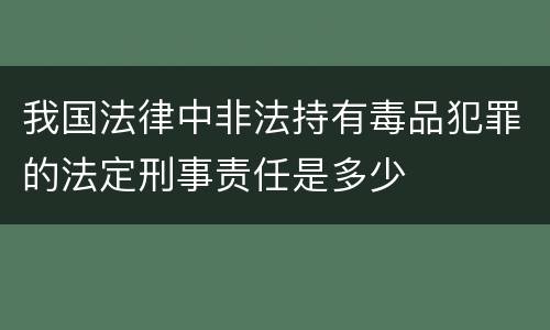 我国法律中非法持有毒品犯罪的法定刑事责任是多少