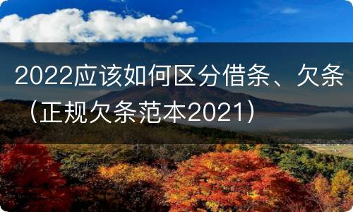 2022应该如何区分借条、欠条（正规欠条范本2021）