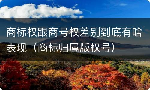 商标权跟商号权差别到底有啥表现（商标归属版权号）