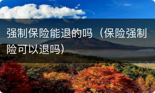 强制保险能退的吗（保险强制险可以退吗）