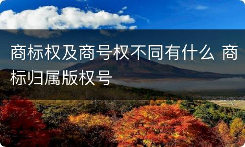 商标权及商号权不同有什么 商标归属版权号