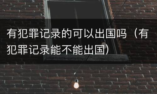有犯罪记录的可以出国吗（有犯罪记录能不能出国）