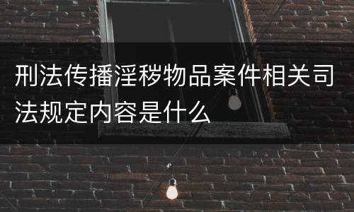 刑法传播淫秽物品案件相关司法规定内容是什么