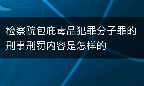 检察院包庇毒品犯罪分子罪的刑事刑罚内容是怎样的