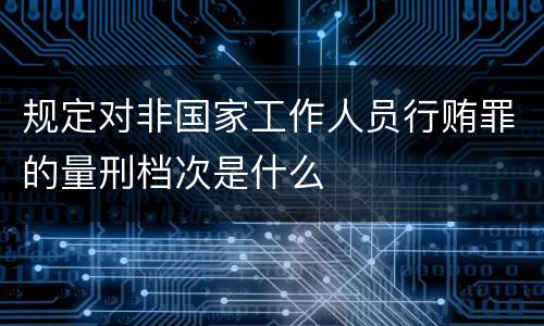 规定对非国家工作人员行贿罪的量刑档次是什么