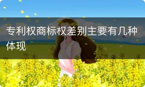专利权商标权差别主要有几种体现