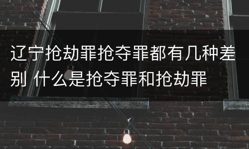 辽宁抢劫罪抢夺罪都有几种差别 什么是抢夺罪和抢劫罪