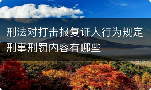 刑法对打击报复证人行为规定刑事刑罚内容有哪些