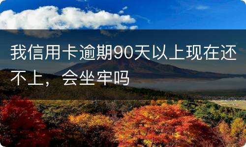 我信用卡逾期90天以上现在还不上，会坐牢吗