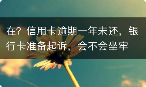 在？信用卡逾期一年未还，银行卡准备起诉，会不会坐牢