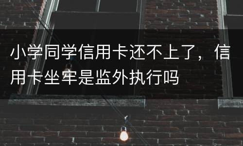 小学同学信用卡还不上了，信用卡坐牢是监外执行吗