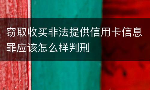 窃取收买非法提供信用卡信息罪应该怎么样判刑