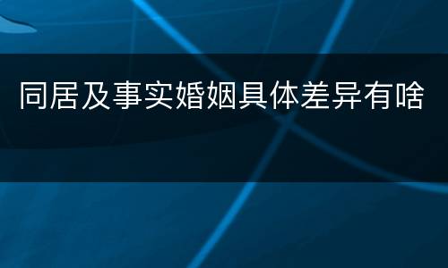 同居及事实婚姻具体差异有啥