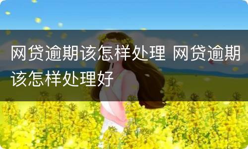 网贷逾期该怎样处理 网贷逾期该怎样处理好
