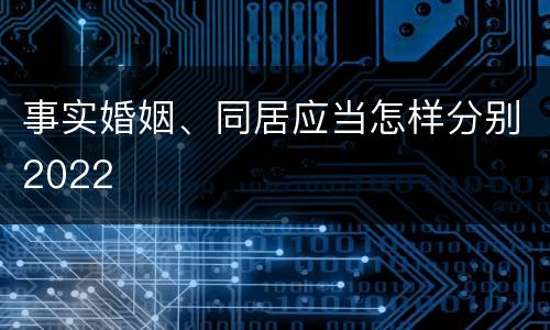 事实婚姻、同居应当怎样分别2022