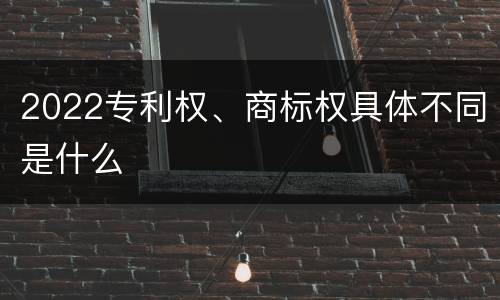 2022专利权、商标权具体不同是什么