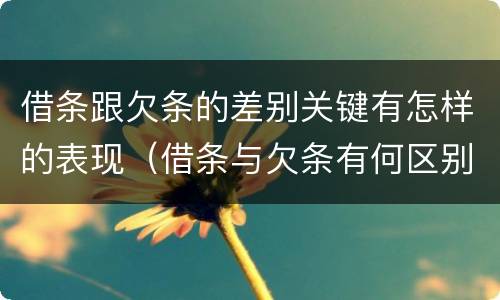 借条跟欠条的差别关键有怎样的表现（借条与欠条有何区别）