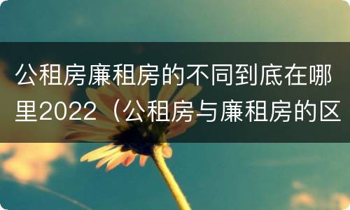 公租房廉租房的不同到底在哪里2022（公租房与廉租房的区别在哪里）