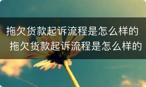 拖欠货款起诉流程是怎么样的 拖欠货款起诉流程是怎么样的案例