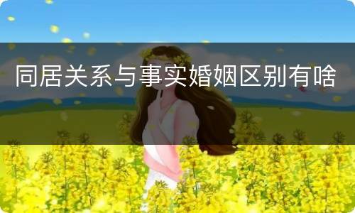 同居关系与事实婚姻区别有啥