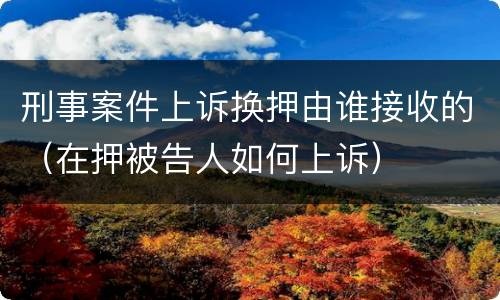 刑事案件上诉换押由谁接收的（在押被告人如何上诉）
