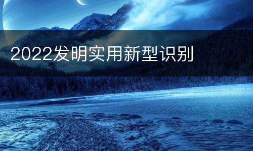 2022发明实用新型识别