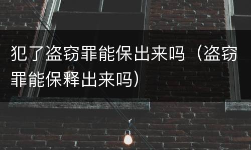 犯了盗窃罪能保出来吗（盗窃罪能保释出来吗）
