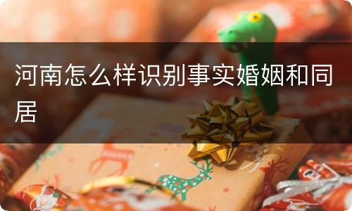 河南怎么样识别事实婚姻和同居