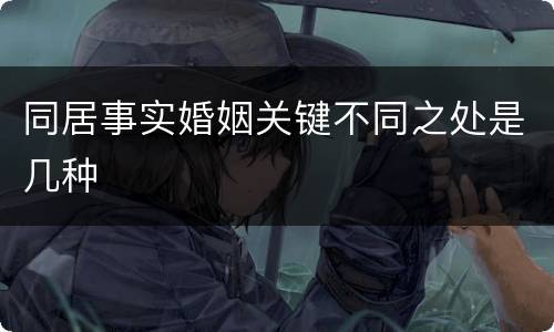 同居事实婚姻关键不同之处是几种