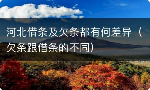 河北借条及欠条都有何差异（欠条跟借条的不同）