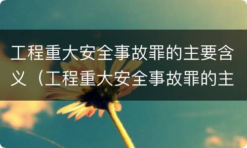 工程重大安全事故罪的主要含义（工程重大安全事故罪的主要含义包括）