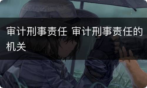 审计刑事责任 审计刑事责任的机关