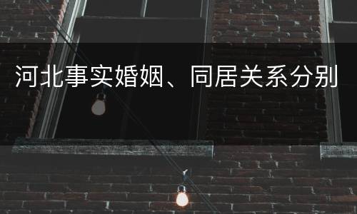 河北事实婚姻、同居关系分别