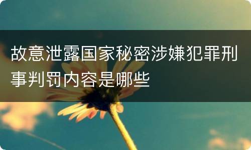 故意泄露国家秘密涉嫌犯罪刑事判罚内容是哪些
